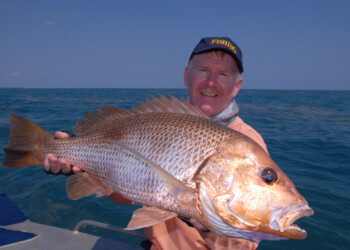 Magical Melville Island
